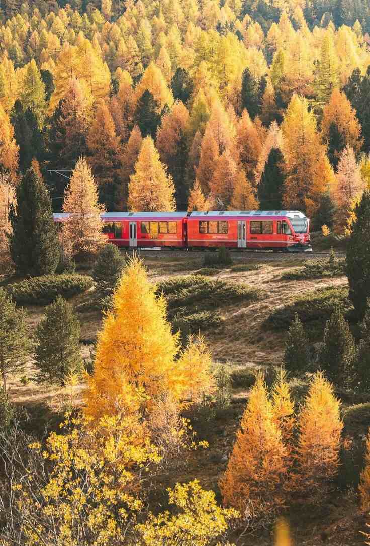 Bernina Express en otoño