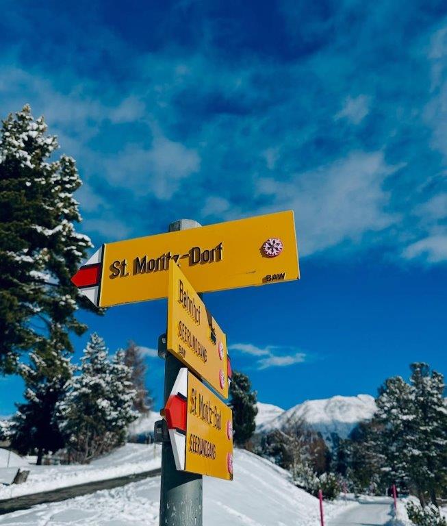Tren Bernina cruzando un puente en los Alpes