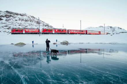 ¿Qué incluye exactamente la Swiss Travel pass?
